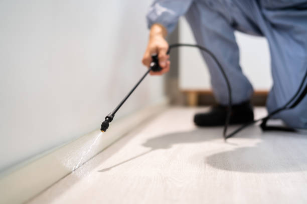 Licensed Mosquito Control service in Baldwyn, MS - Show Me Pest Control