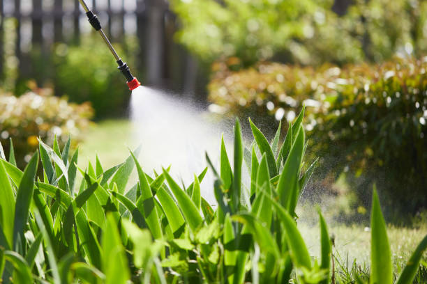 24/7 Emergency Mosquito Control experts in Baldwyn, MS