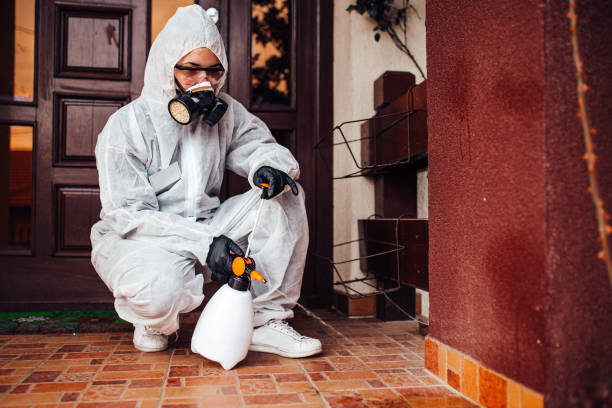 Reliable Mosquito Control contractor in Baldwyn, MS by Show Me Pest Control